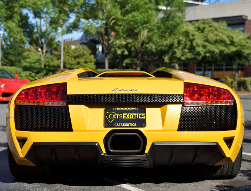 Illustration for article titled Redmond Exotics Photodump (Lots of big pictures)